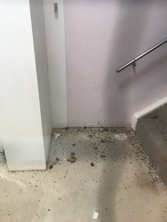 Ang Mo Kio Avenue 8 (D20), HDB Shop House #205000581
